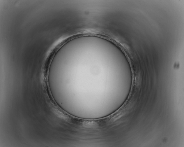 X0000101711454200807241445