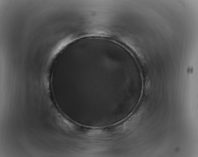 X0000101711455200807241445