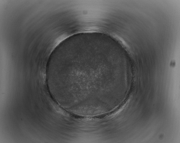 X0000101711457200807241445