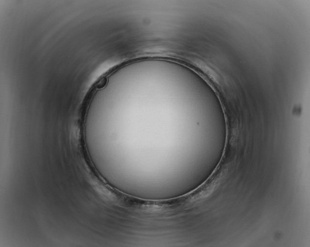 X0000101711458200807241445