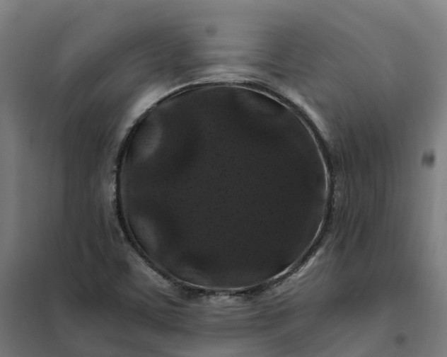 X0000101711459200807241445