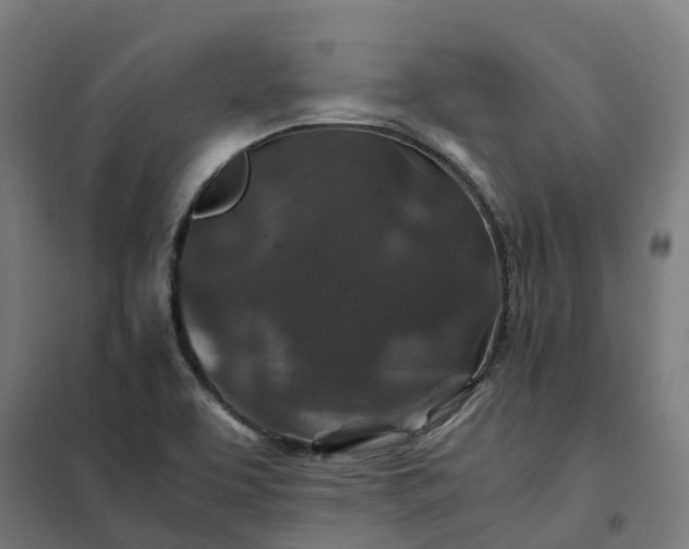 X0000101711463200807241445