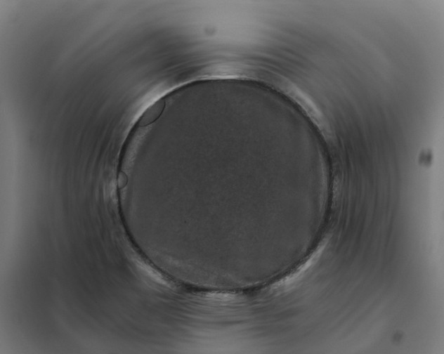 X0000101711465200807241445