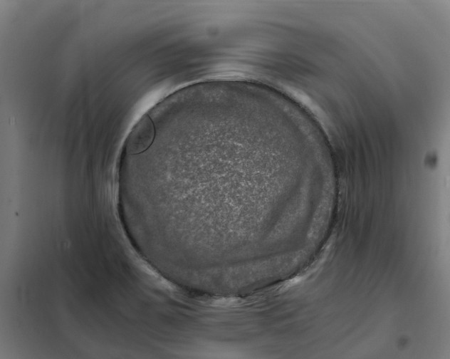 X0000101711467200807241445