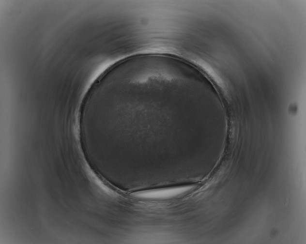 X0000101711468200807241445