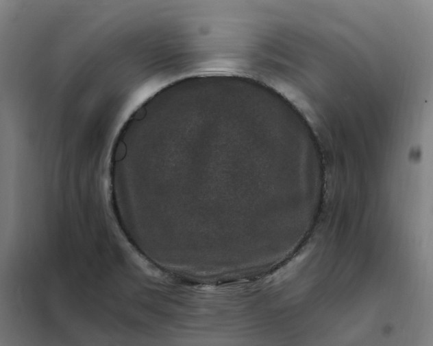 X0000101711469200807241444