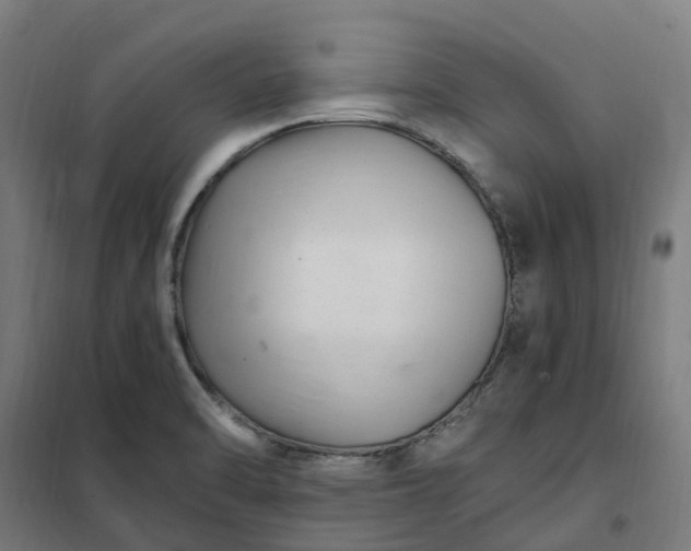 X0000101711470200807241444