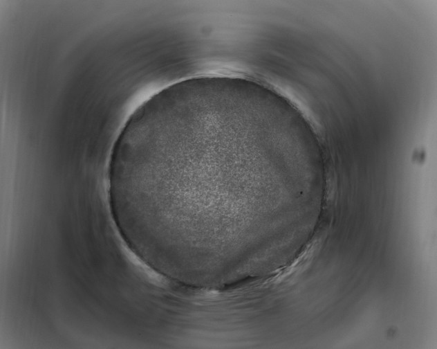 X0000101711471200807241444