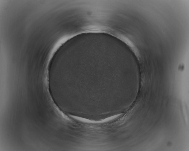 X0000101711472200807241444