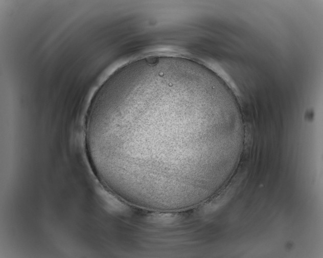 X0000101711474200807241444