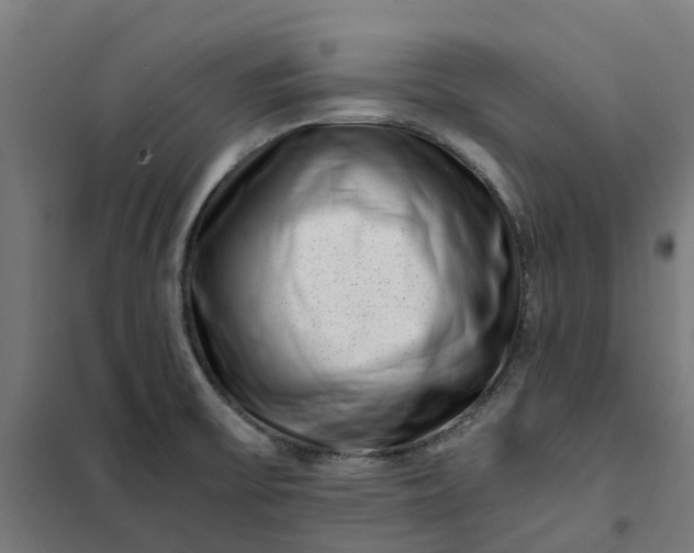 X0000101711475200807241444