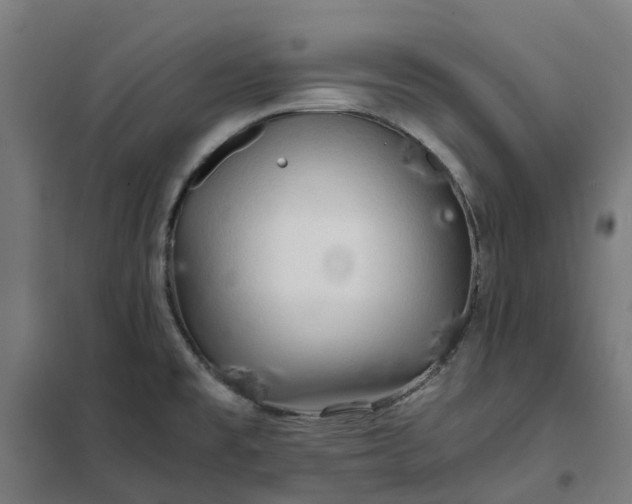 X0000101711477200807241444