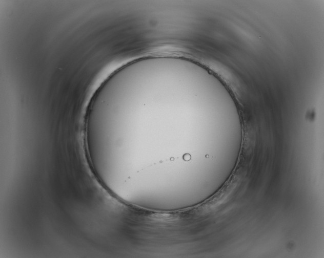 X0000101711478200807241444