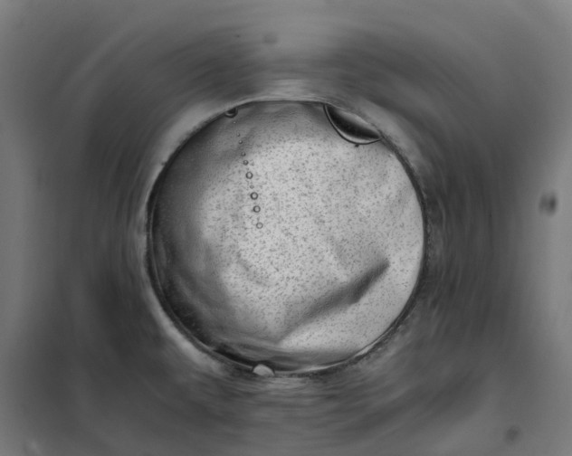 X0000101711479200807241444