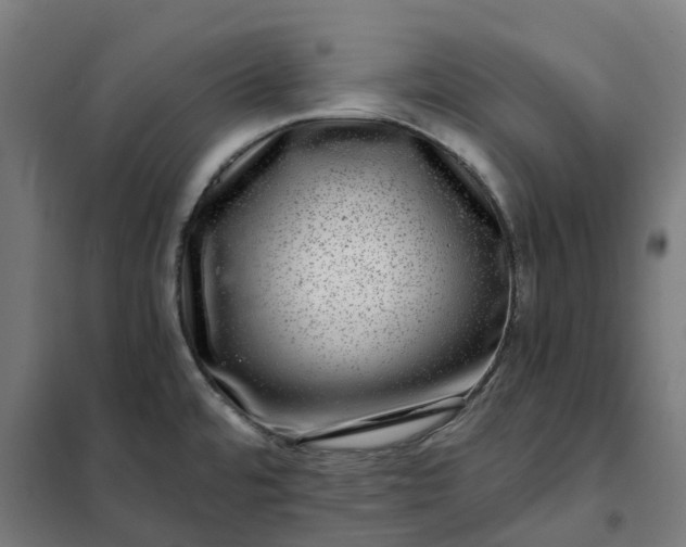 X0000101711480200807241444