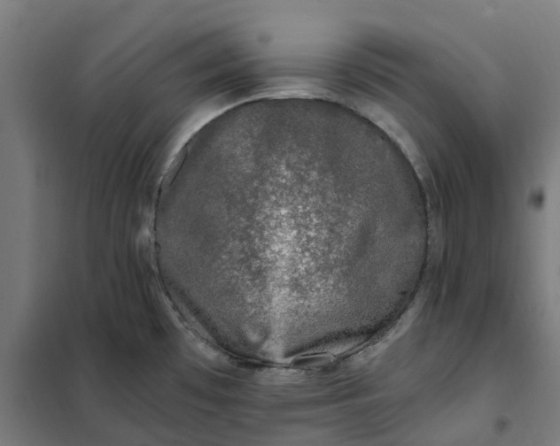 X0000101711481200807241444