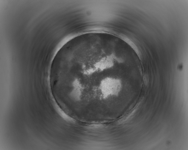 X0000101711482200807241444