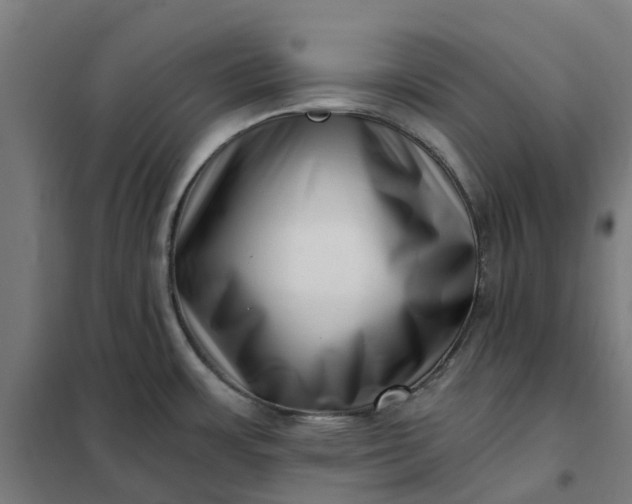 X0000101711483200807241444