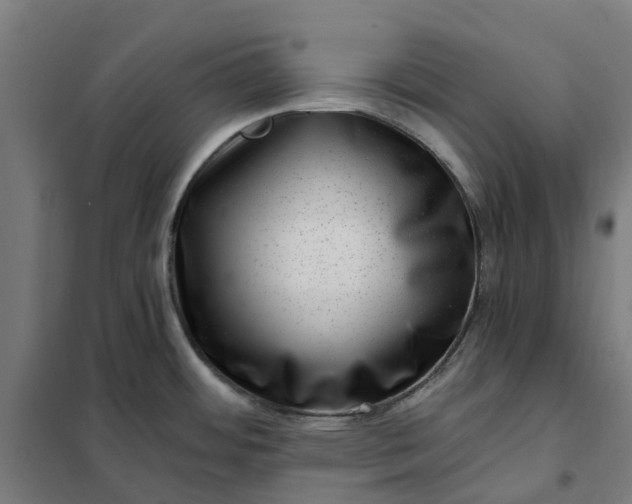 X0000101711484200807241444