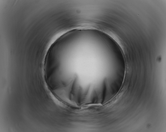 X0000101711485200807241444