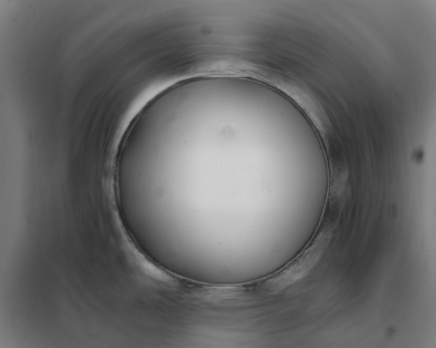 X0000101711486200807241444