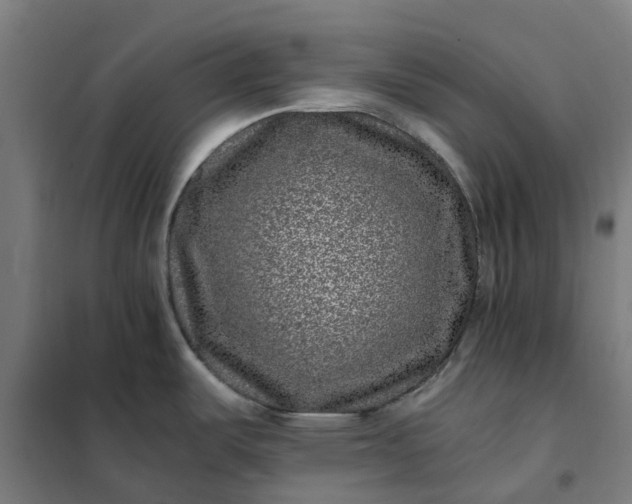 X0000101711487200807241444