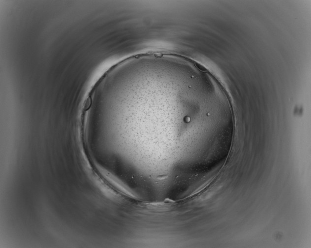 X0000101711488200807241444