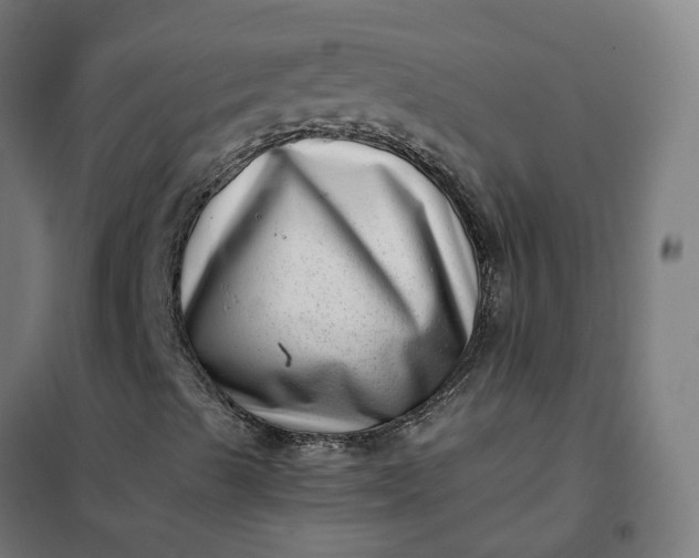 X0000101711489200807241444