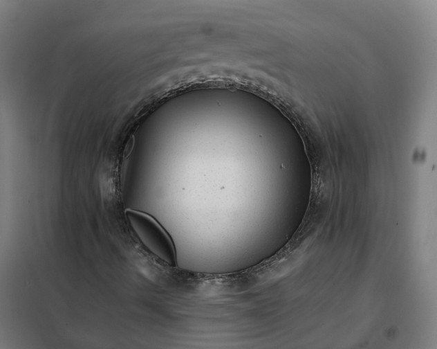 X0000101711490200807241444