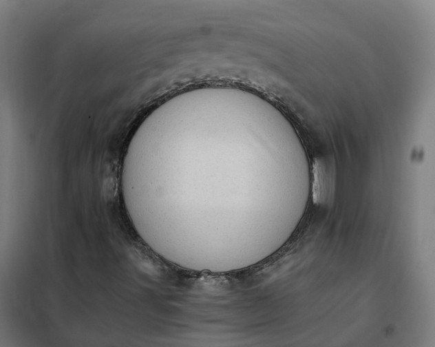 X0000101711491200807241444