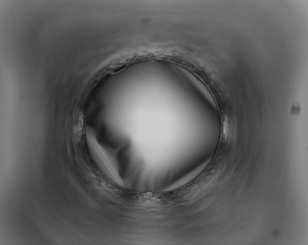 X0000101711492200807241444