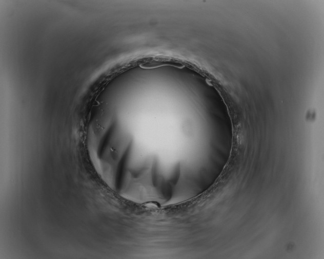 X0000101711495200807241444