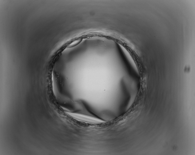 X0000101711496200807241444