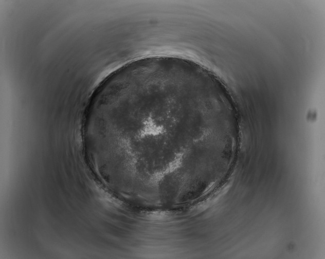 X0000101711497200807241444