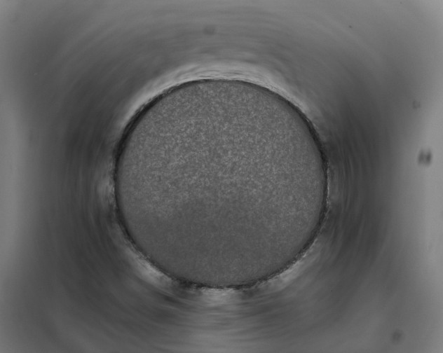 X0000101711498200807241444