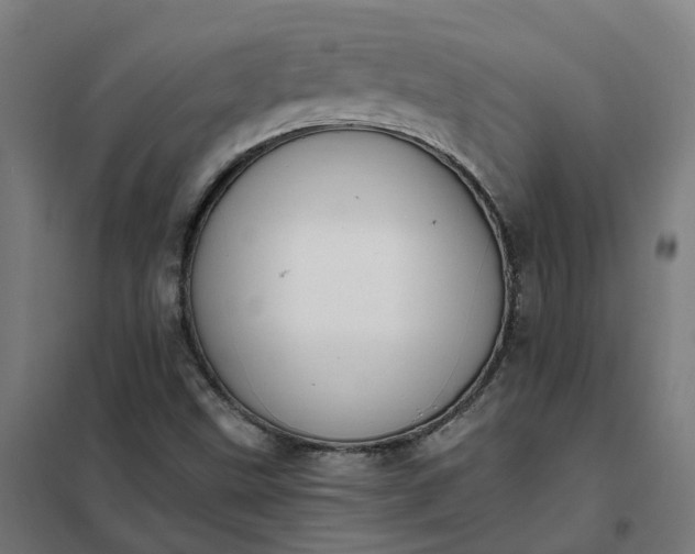 X0000101711499200807241444