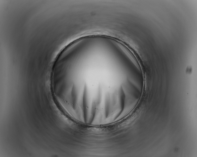 X0000101711500200807241444