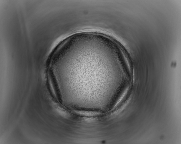 X0000101711501200807241444