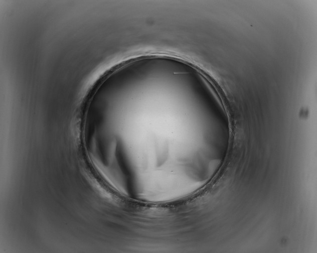 X0000101711503200807241444