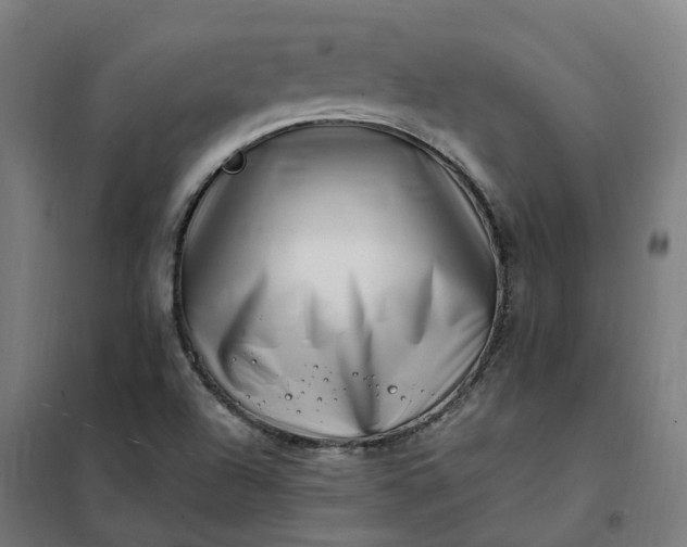 X0000101711504200807241444