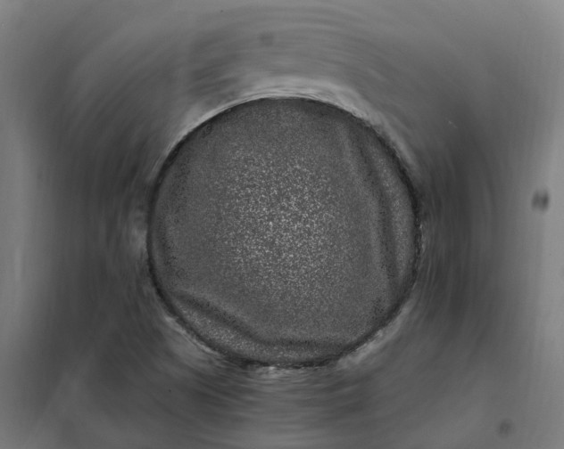 X0000101711505200807241444