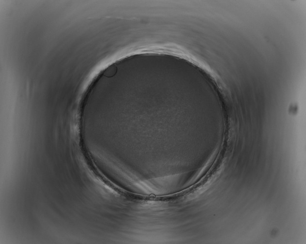 X0000101711506200807241444