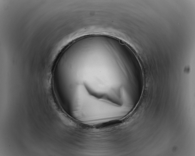 X0000101711507200807241444