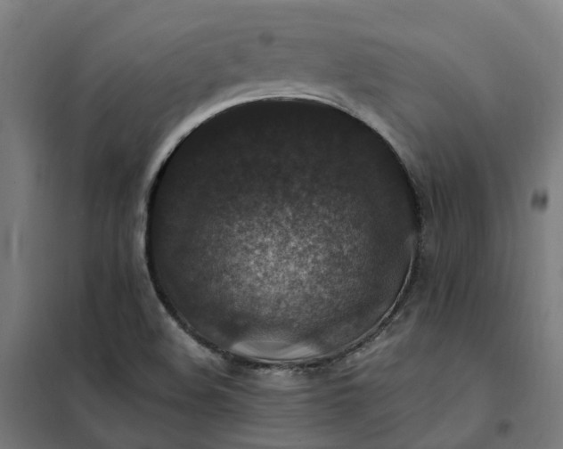 X0000101711508200807241444