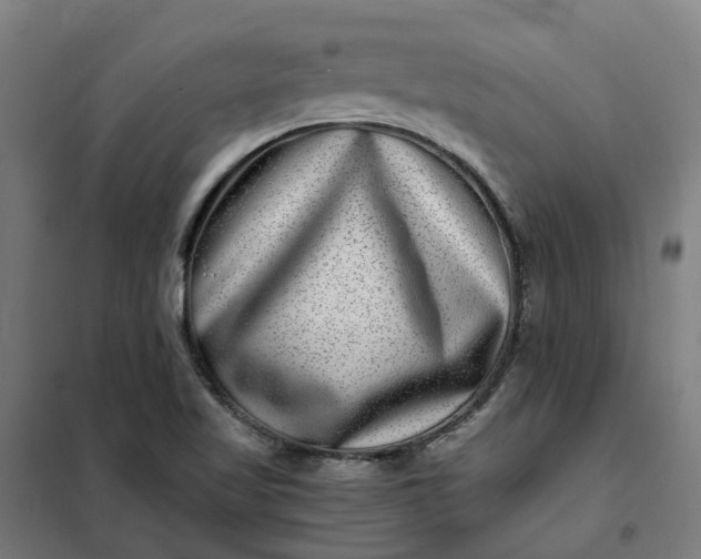 X0000101711509200807241444