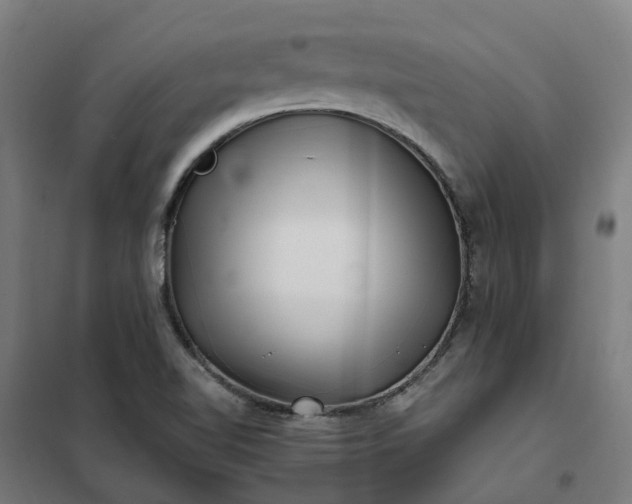 X0000101711510200807241444