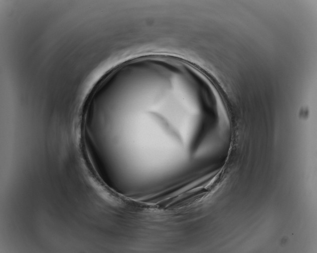 X0000101711511200807241444