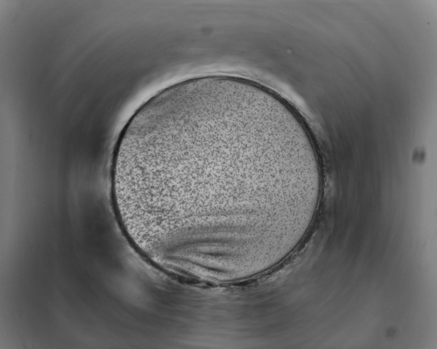 X0000101711512200807241444