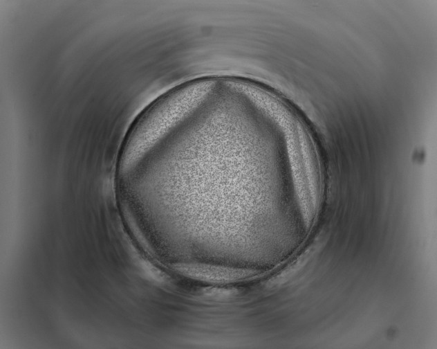 X0000101711513200807241444