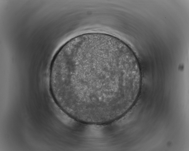 X0000101711514200807241444